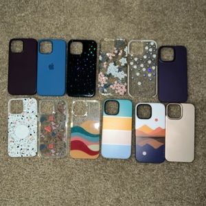 iPhone 13 Pro Max Cases